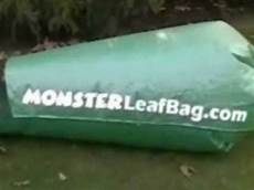 Disposable Vacuum Bags