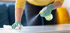 Home Cleaning Industry