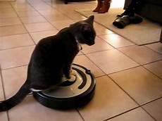 Roomba Cleaner