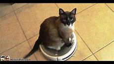 Roomba