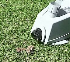 Shark Cordless Pet Vacuum