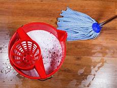Steam Mop Vacuum