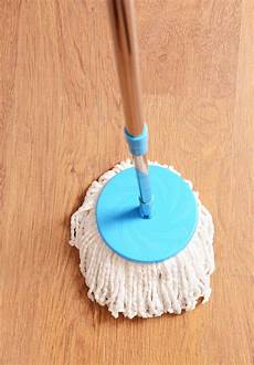 Tineco Wet Dry Mop