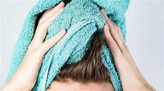 Vacmaster Wet Dry Shampoo