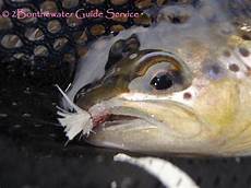 Wet And Dry Cleaner