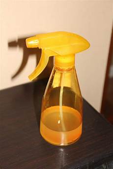 Wet Dry Mop Vacuum