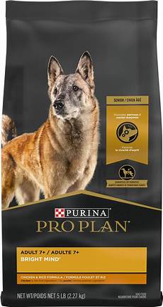Wet Dry Pet Vacuum
