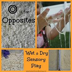 Wet N Dry Hoover